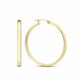 Aretes Noa de Oro
